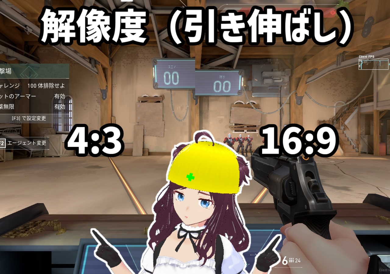 解像度4 3 プロ愛用の引き伸ばし設定 最強エイム考察 Escape From Syakaizin